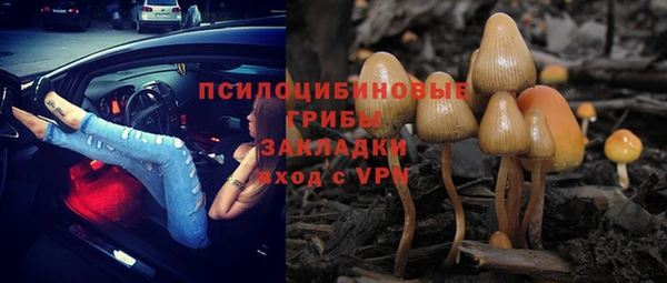 шишки Слюдянка