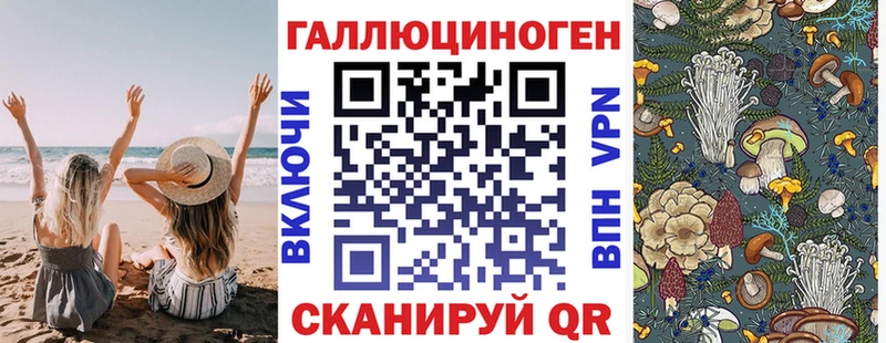 купить закладку  Кизляр  Псилоцибиновые грибы MAGIC MUSHROOMS 