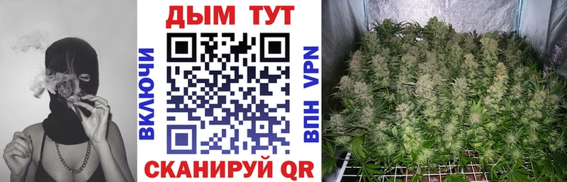 Каннабис Amnesia Кизляр